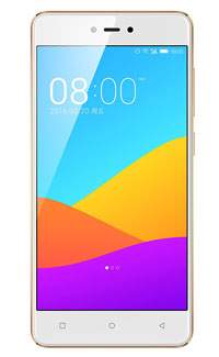 Gionee F306