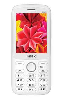 Intex In-Stun